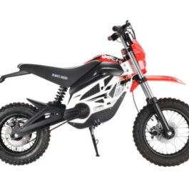 Электромотоцикл WHITE SIBERIA SOCHI 1300W RED